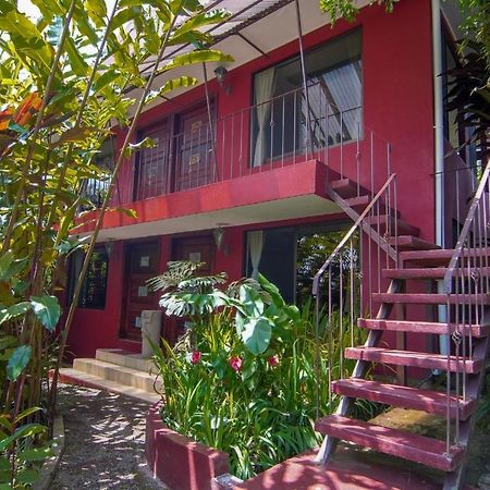 La Boruca Bed and Breakfast San Isidro  Exterior foto