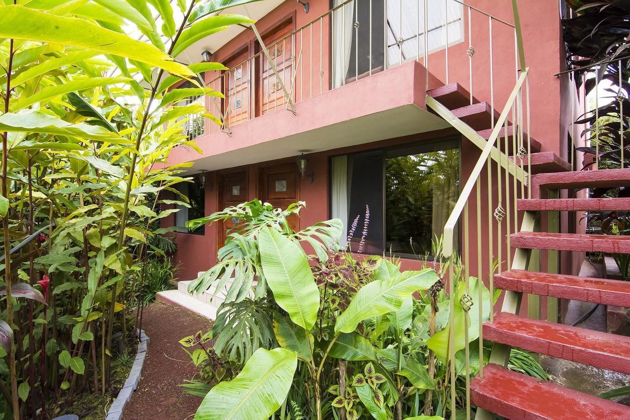 La Boruca Bed and Breakfast San Isidro  Exterior foto