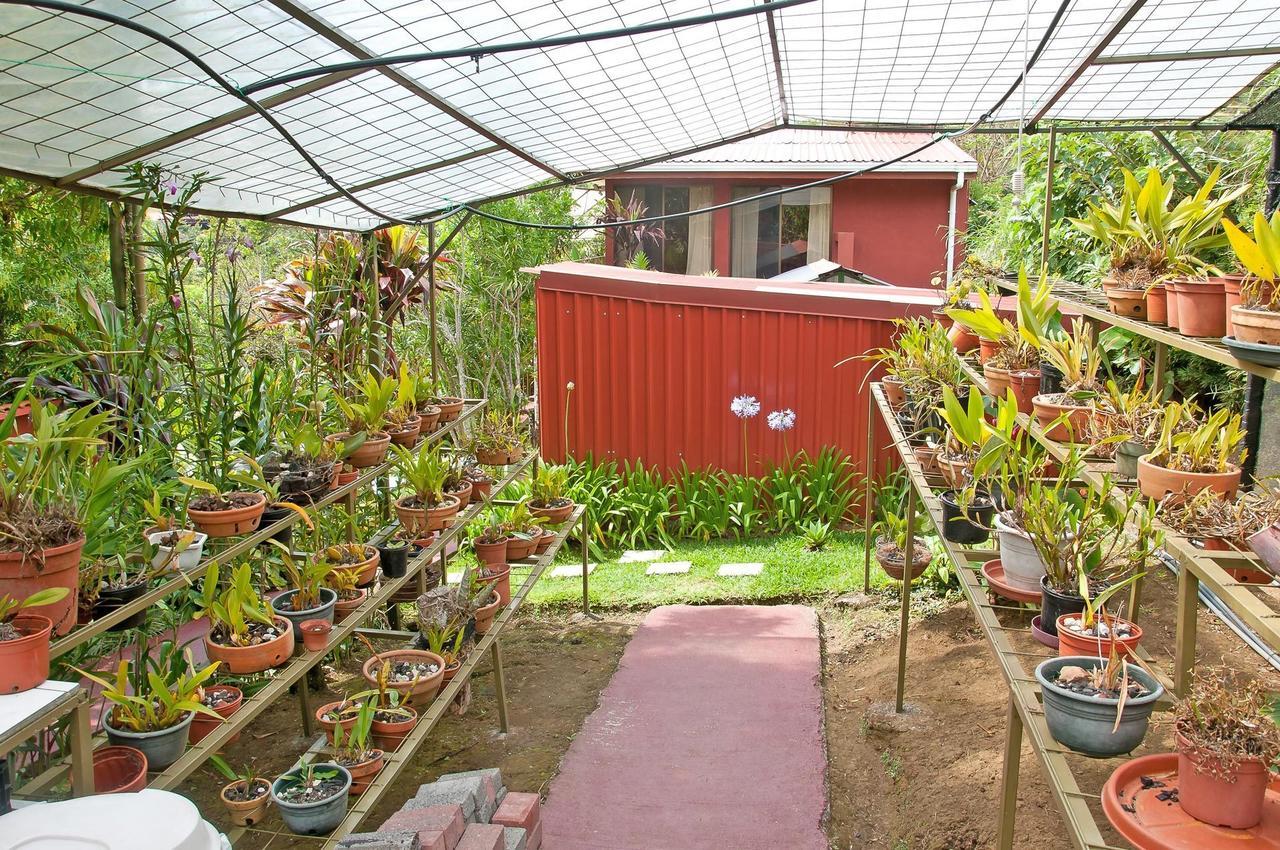 La Boruca Bed and Breakfast San Isidro  Exterior foto