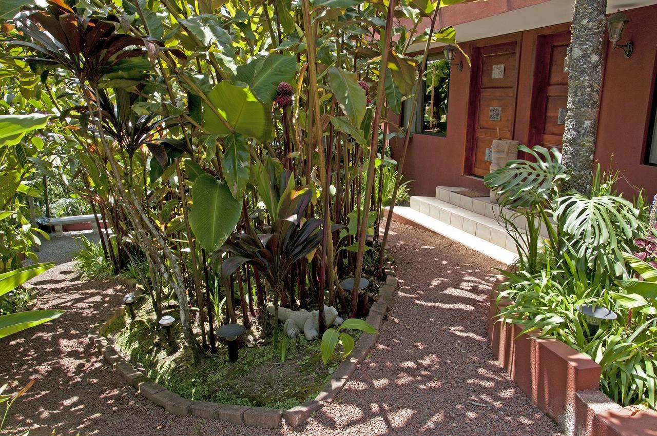 La Boruca Bed and Breakfast San Isidro  Exterior foto